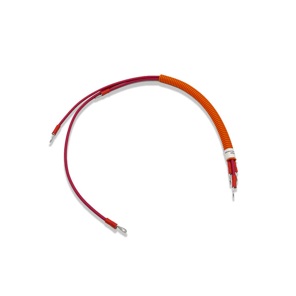 4861007001 Arnés de cables de alimentación del host