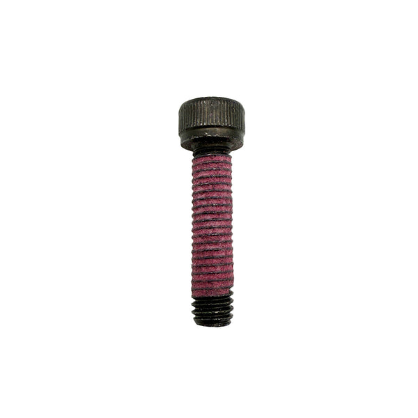 EGO 5620550005 Hexagon Socket Screw