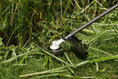 EGO Power+ BCX4500 Commercial Bike Handle Brush Cutter Tool Only