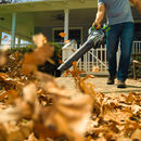 Souffleur de feuilles sans fil à vitesse variable EGO Power+ LB5804 580CFM avec batterie et chargeur 5,0 Ah