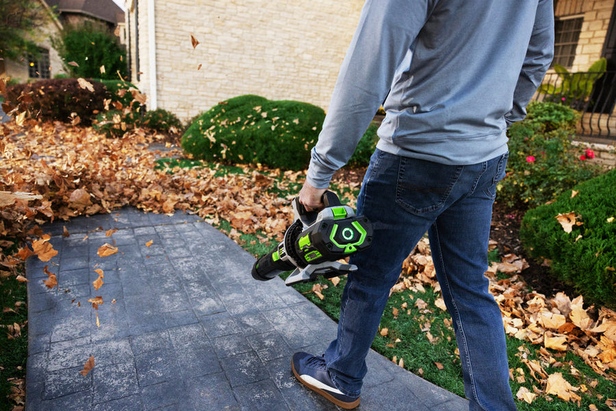 Clearing leaves with an EGO leaf blower