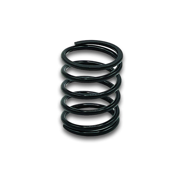 EGO 3660699001 Compression Spring