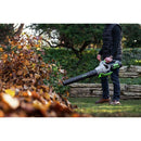 EGO Power+ LB6504 650CFM Handheld Blower with 5.0Ah Battery and Standard Charger