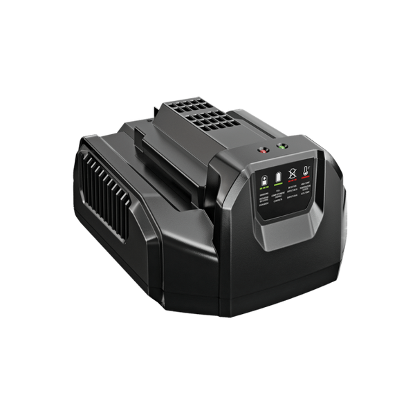 EGO CH2100 Standard 210W Charger